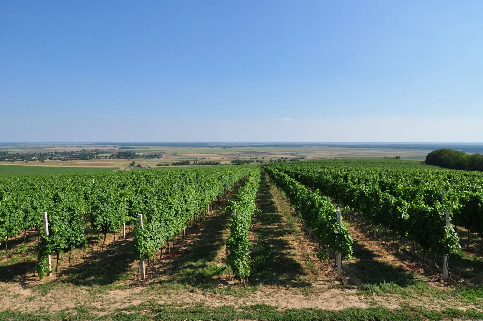 Baranja
