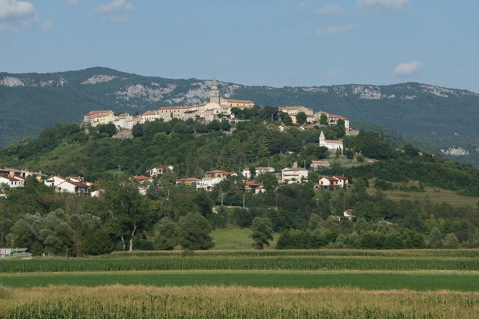 Buzet