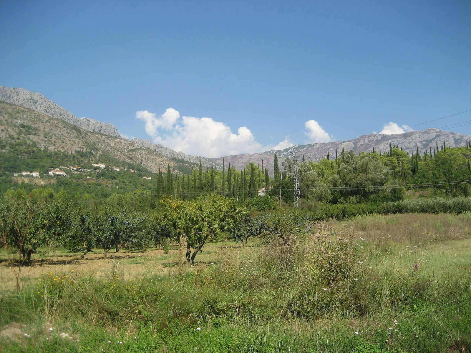Konavle
