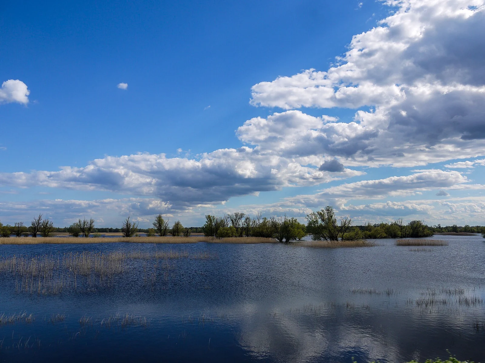 Osijek → Kopački rit → Baranja