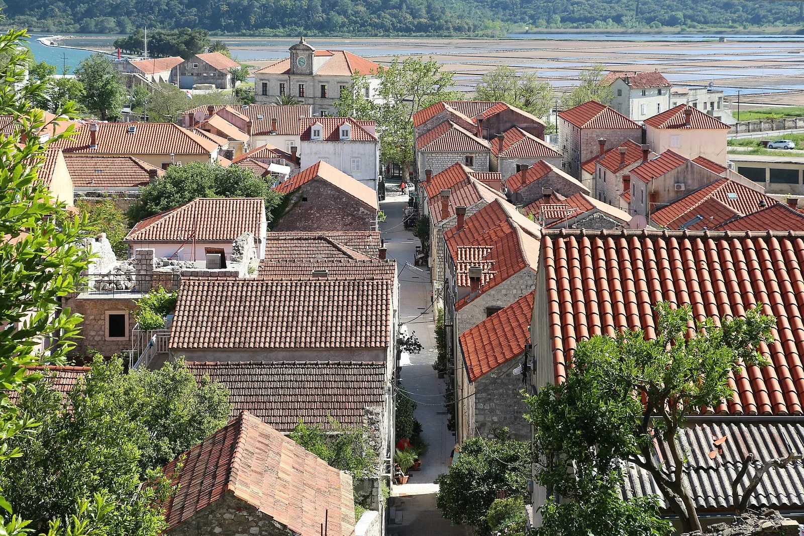 Ston